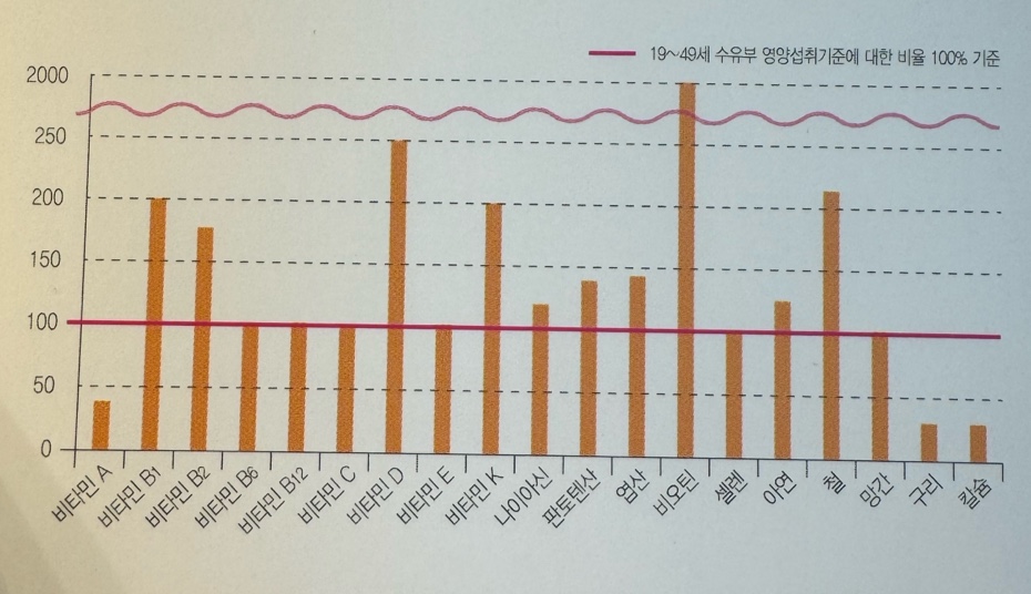 닥터에디션 퍼스트맘 Ⅲ 영양 안내