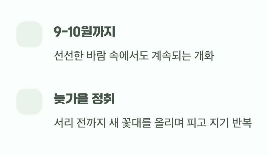 가을까지 이어지는 끈질긴 생명력