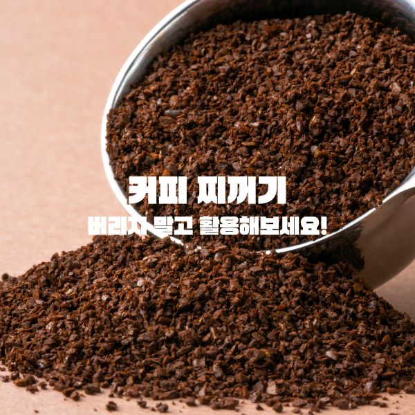 커피 찌꺼기&#44; 버리지 말고 활용해보세요!