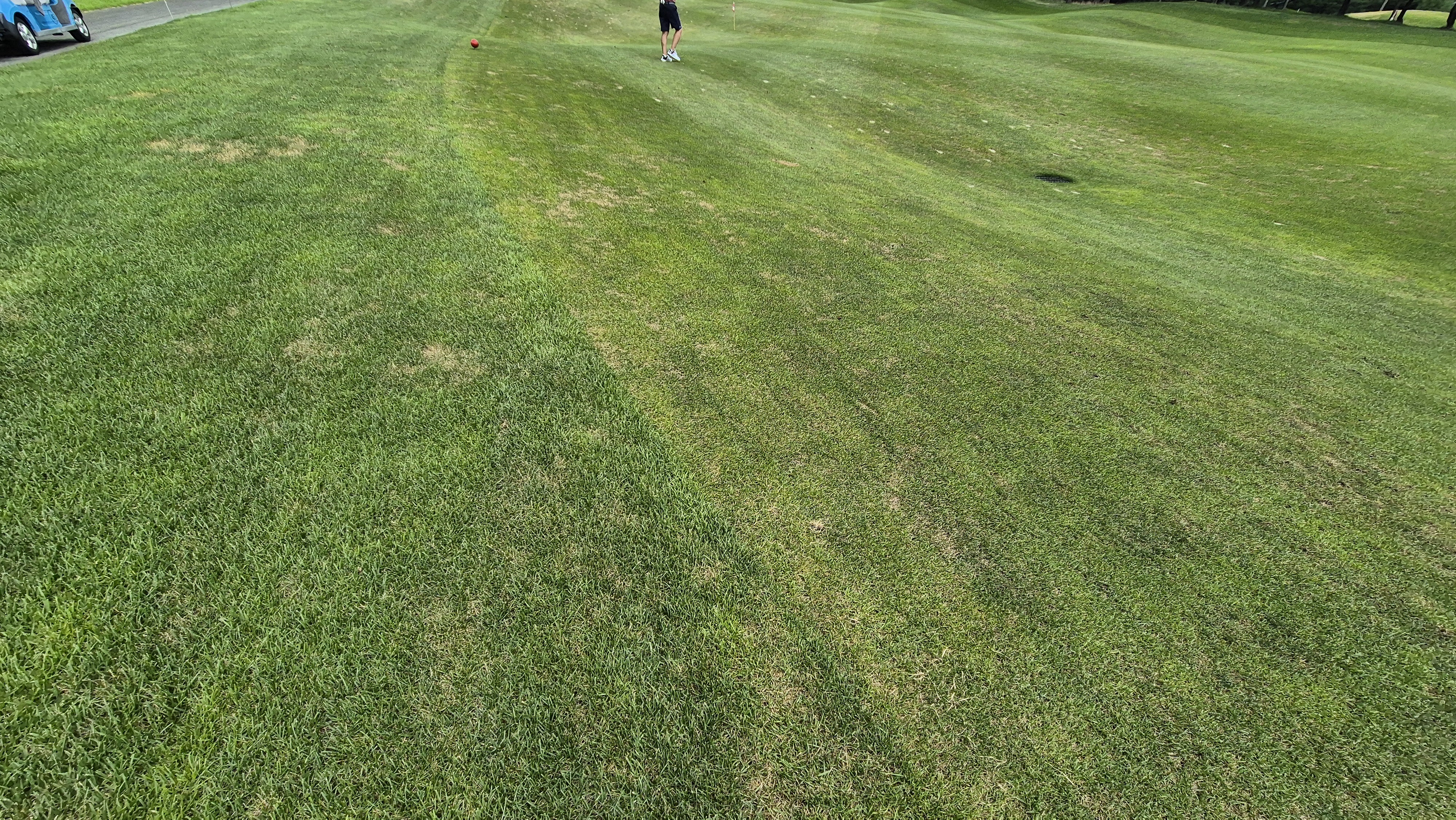 센테리움cc 스코틀랜드-웨일즈 코스 라운드 후기