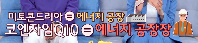 코엔자임q10