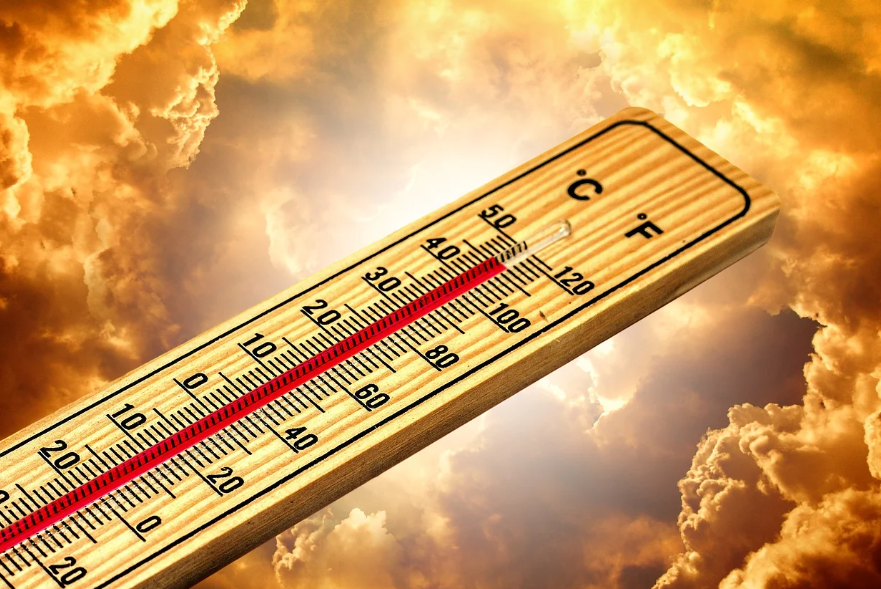 기후 변화 관련 사진