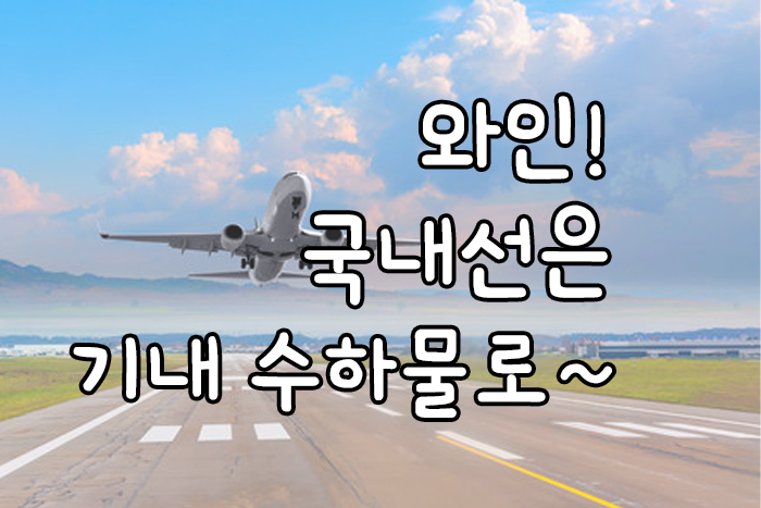 와인 기내 수하물