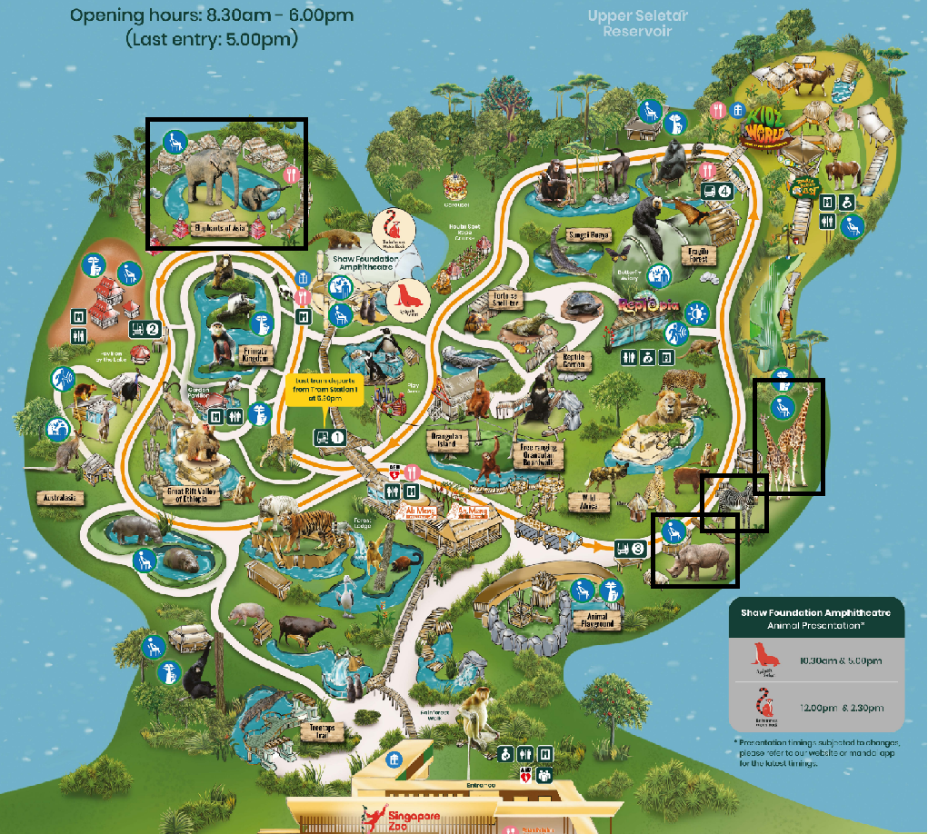 싱가포르 동물원 먹이주기 체험 예약 정보