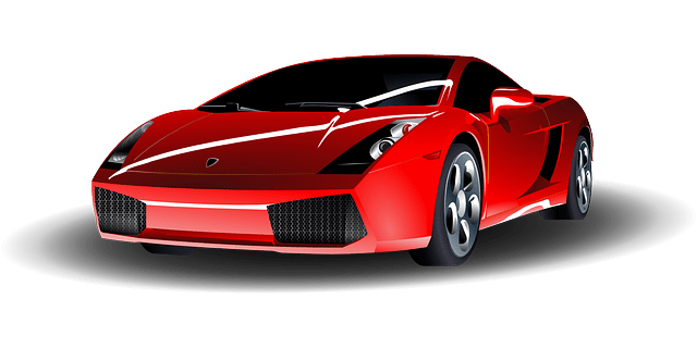 운전면허 갱신 사진