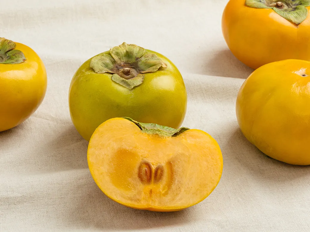 "태추단감이란/