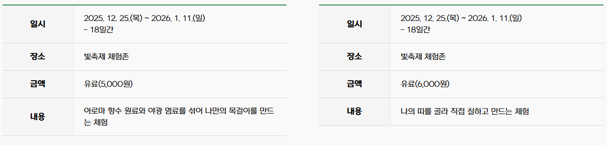 2025 함평 겨울빛축제