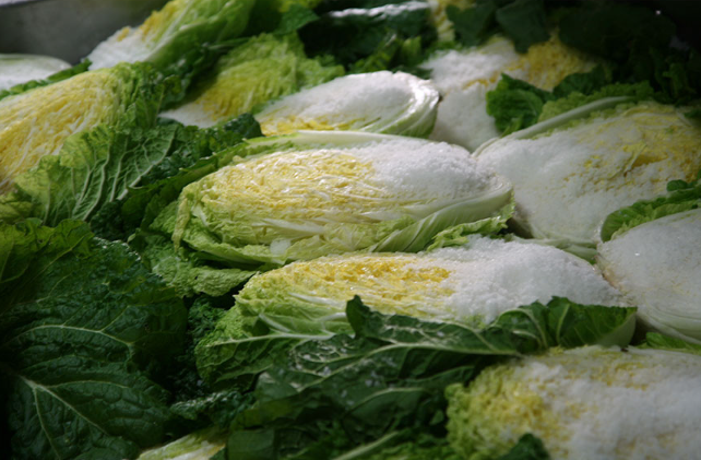 강원도-고랭지-절임배추-이미지