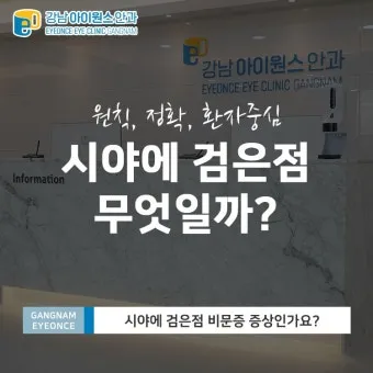 시야에 검은점 시야에 까만점이 보일때 원인과 대처법_20