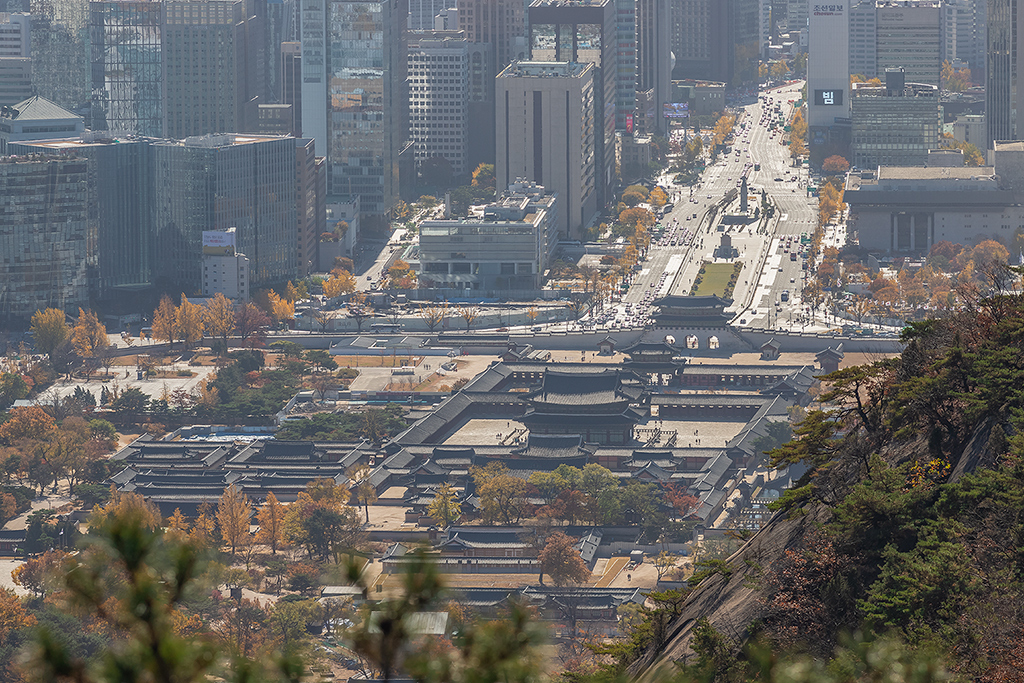 한양도성길
백악코스
서울여행
서울단풍
백악산
북악산
가을단풍
한양도성
경복궁