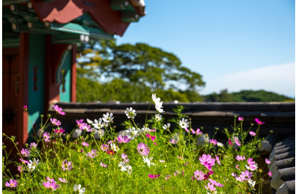 서울 근교 힐링 여행! 강화도 필수 방문 명소 5곳