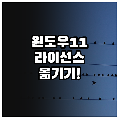 하드웨어 변경 후 윈도우 11 디지털..