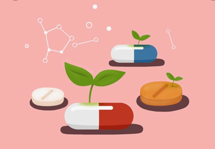 약물의-조제-형태