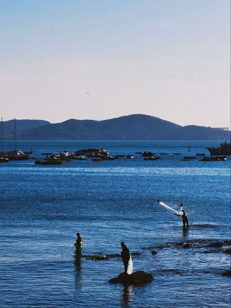 바다와 작은 섬, 고요한 파도 속에서 어촌 생활의 소박함이 느껴지는 이색적인 칭다오의 일상 장면입니다
