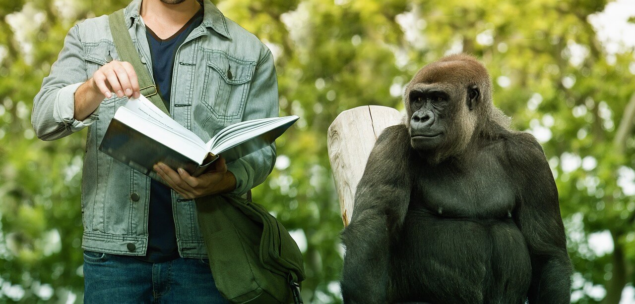 청년층 국민연금 납부액과 수령액 시뮬레이션