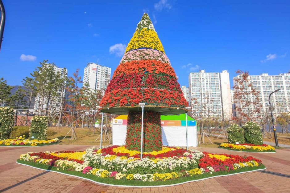 2024년-마산가고파국화축제