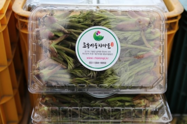 두릅축제