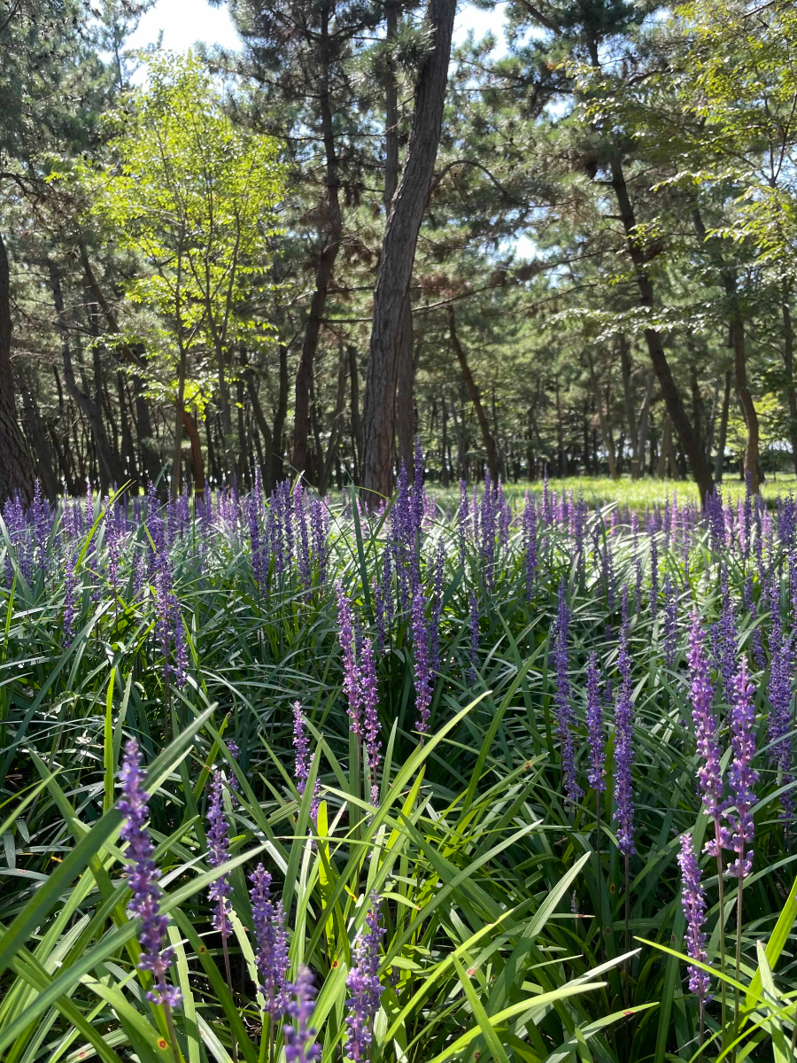 장항 국립해양생물자원관 씨큐리움