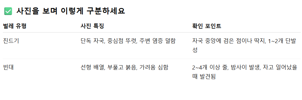 진드기 빈대 자국