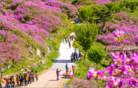 황매산