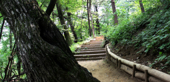 서울 둘레길 코스 정리 완벽가이드