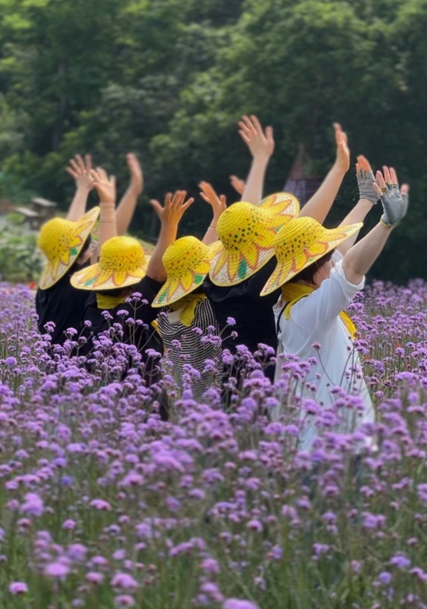 동네한바퀴-태안-해바라기-치유-정원