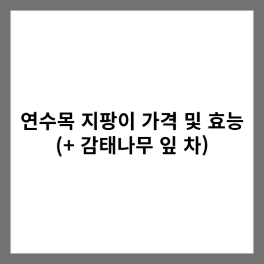 연수목 지팡이 가격 및 효능 (+ 감태나무 잎 차)