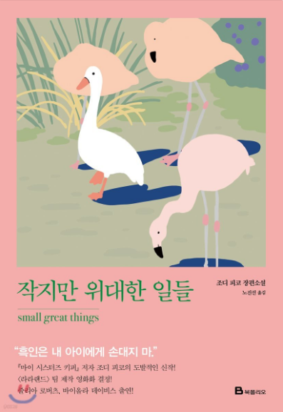 [작지한 위대한 일들]조디 피콜트, 줄거리, 차별과 편견의 끝판왕