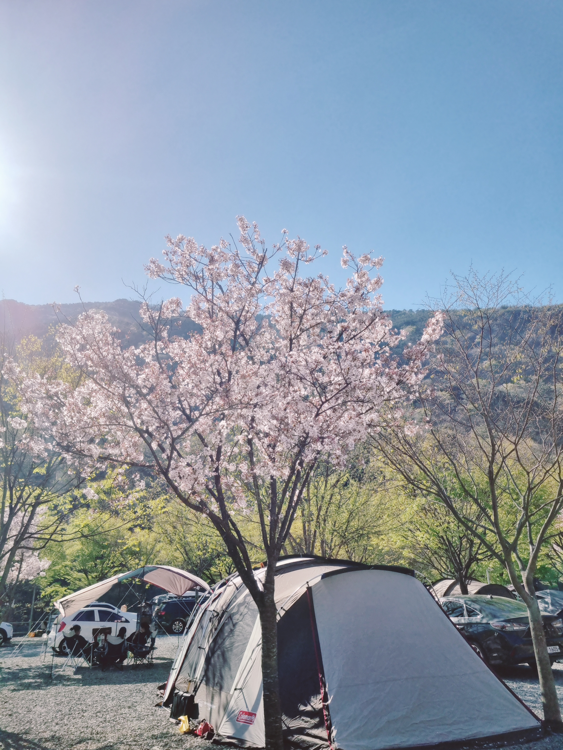 밀양 산여울 캠핑장