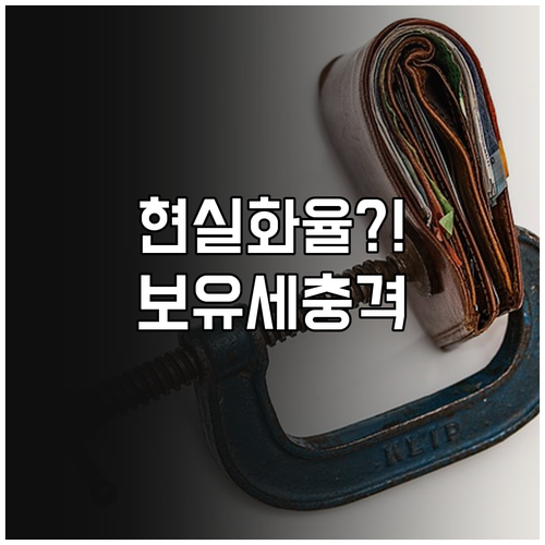현실화율이 뭔가요? 시세 반영률부터 ..