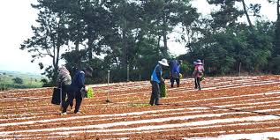 농업 일자리 사이트