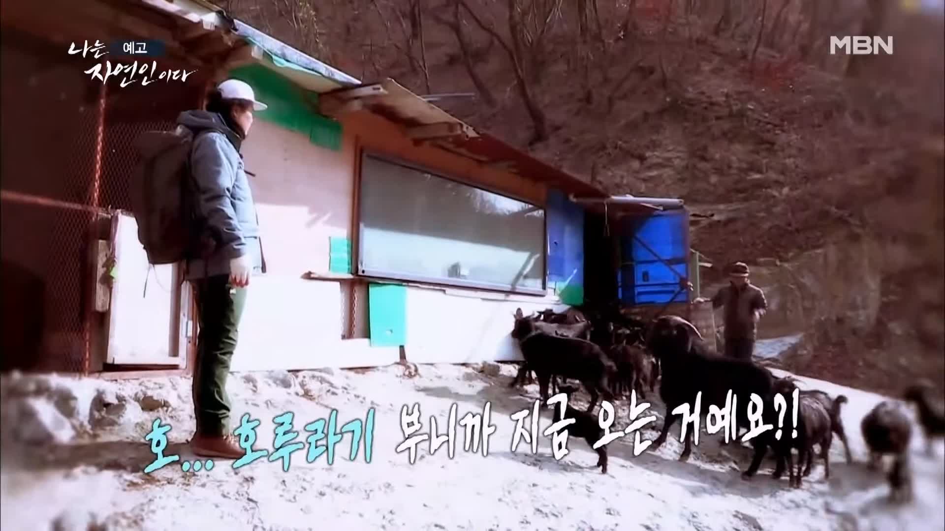 나는 자연인이다 순정 마초의 겨울찬가 자연인 박인태 소개 및 윤택 출연 533회 다시보기