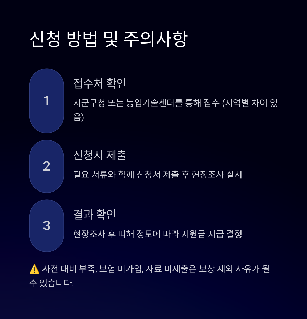 신청 방법 및 주의사항