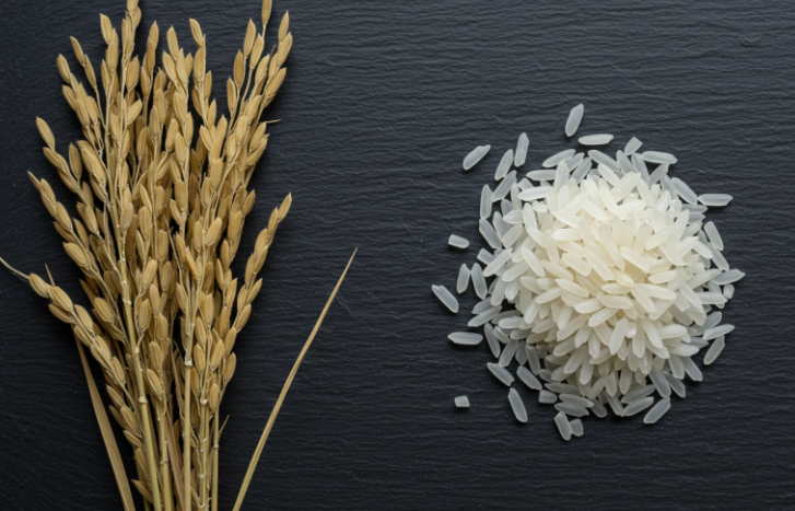 바나듐쌀효능 부작용 먹는법 가격 바나듐쌀 원산지 당뇨 혈당 조절 한눈에 2