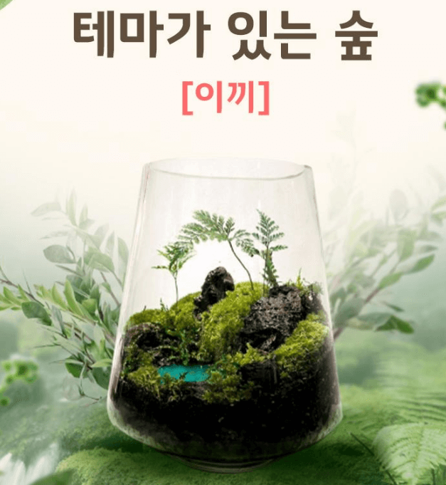 2025 화담숲 벚꽃 예매하기 관련사진