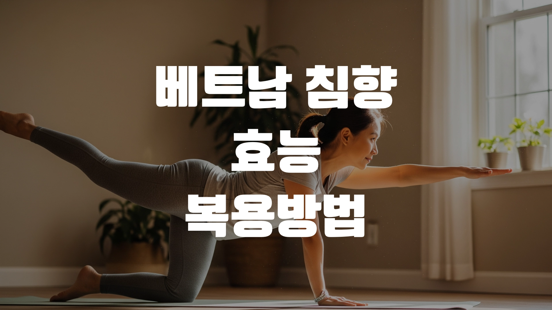 베트남 침향 효능 복용방법 총정리! 포스팅 섬네일
