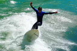 2025 여름 해수욕장 개장 일정 반려견 허용 해변