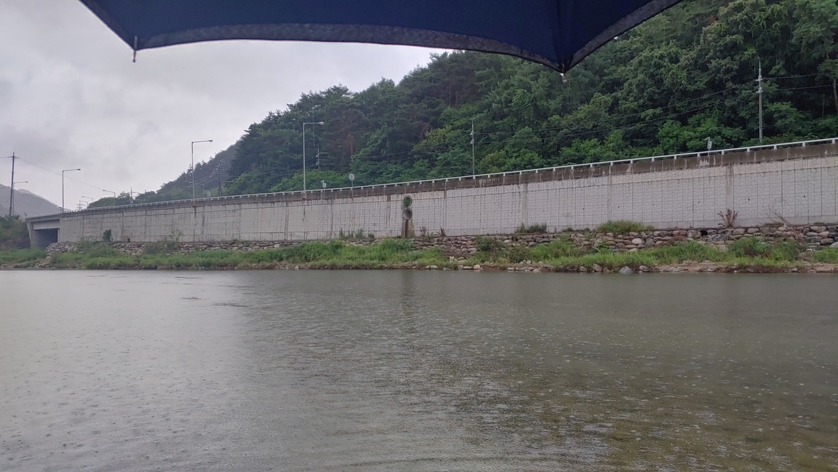 비오는 냇가와 우산