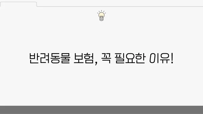 보험 상품 목록