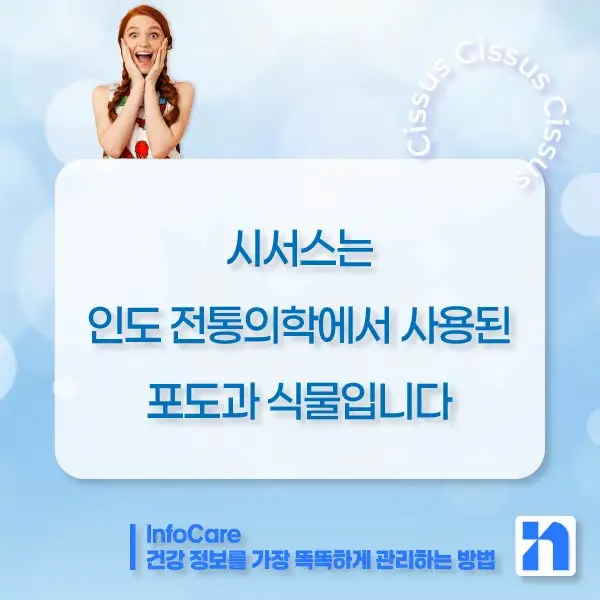 시서스 효능, 다이어트, 복용법