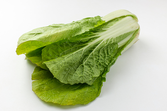 얼갈이배추-한포기