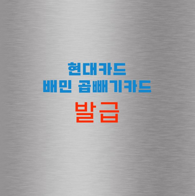 현대카드 배민 곱빼기카드