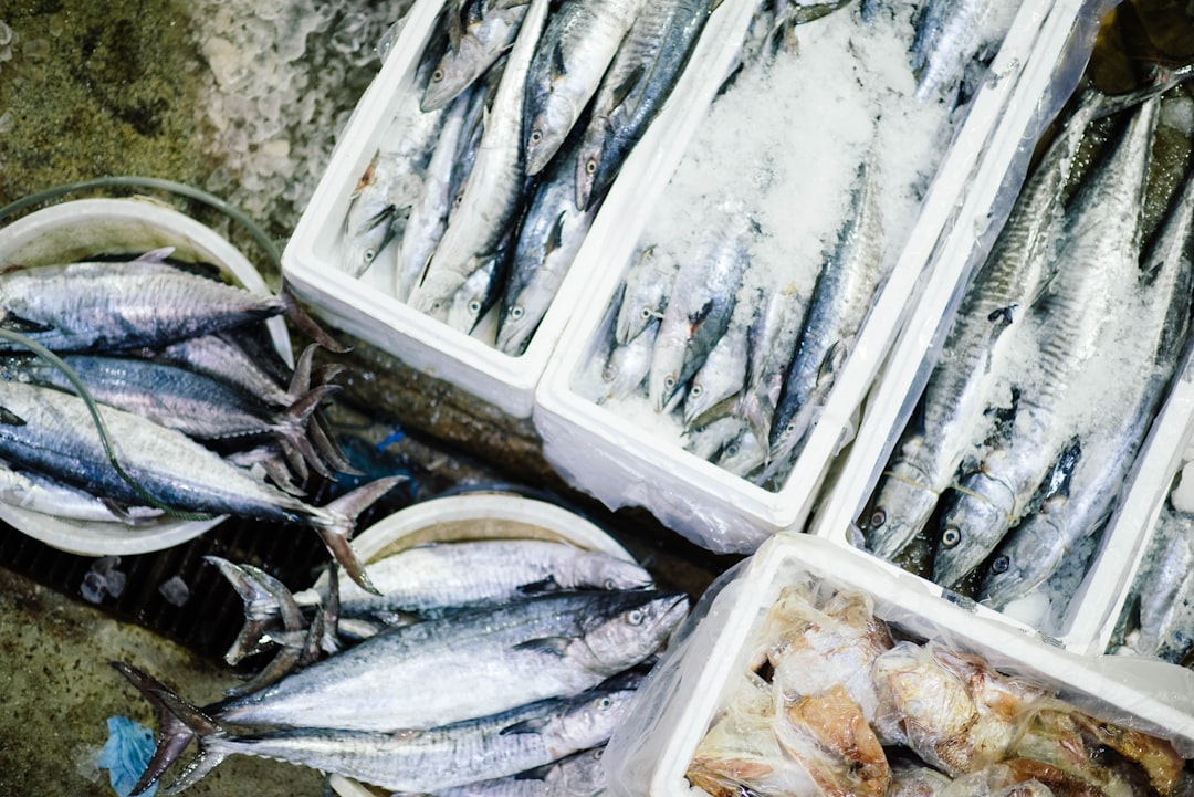 Fish market