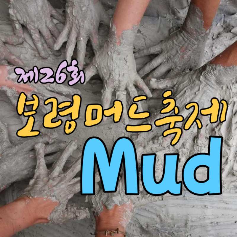 보령머드축제 기본정보