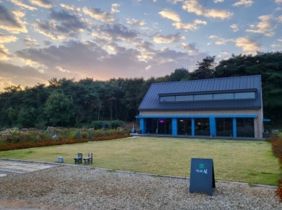 고창청농원 라벤더 축제