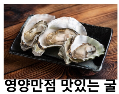 맛있는 굴