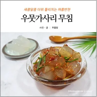 우뭇가사리 효능 부작용 먹는 법 궁합 좋은 음식 추천 정리_5