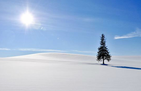 훗카이도 비에이