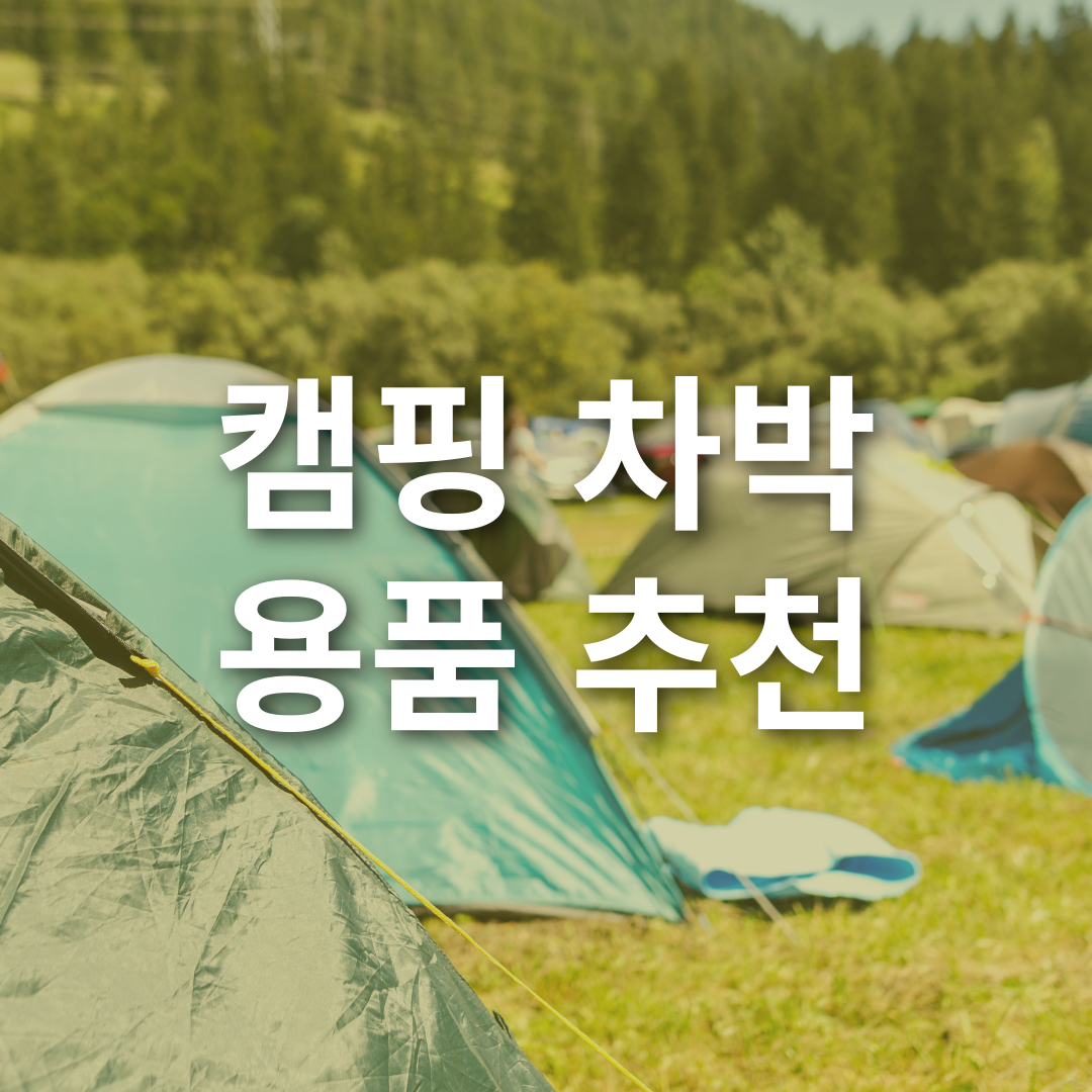 캠핑 차박 용품 추천