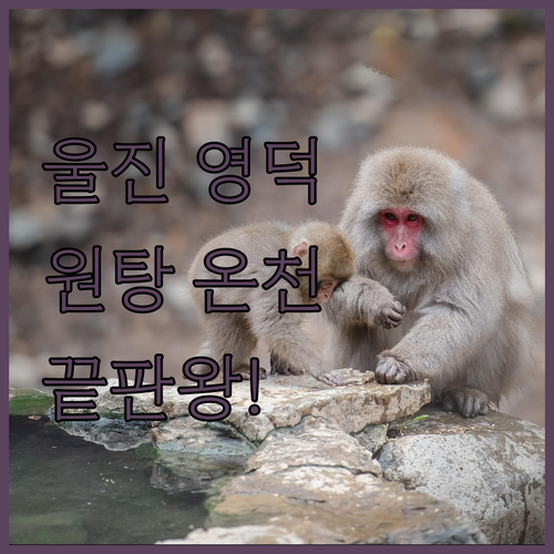 울진 영덕 온천 숙소 추천 5곳 수질..